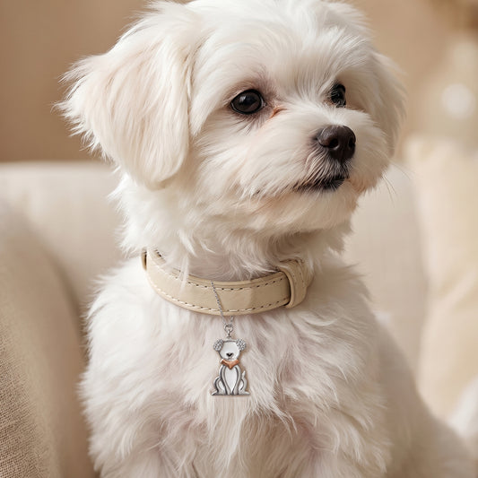 Silver Happy Tails Pet Convertible Charm