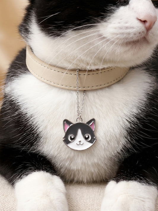 Silver Peek-a-Purr Pet Convertible Charm