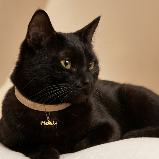 Golden Pawdorable Convertible Charm
