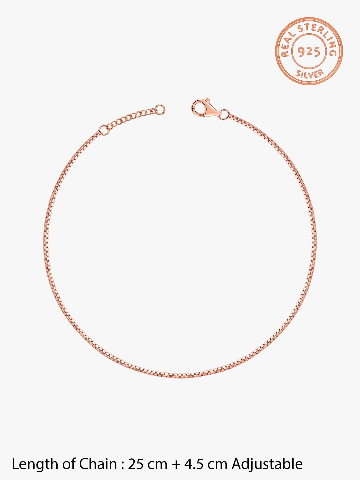 Rose Gold Glint Anklet