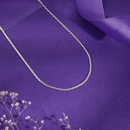 Silver Elongated Box Chain