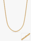 Golden Mystic Moonbeam Link Chain