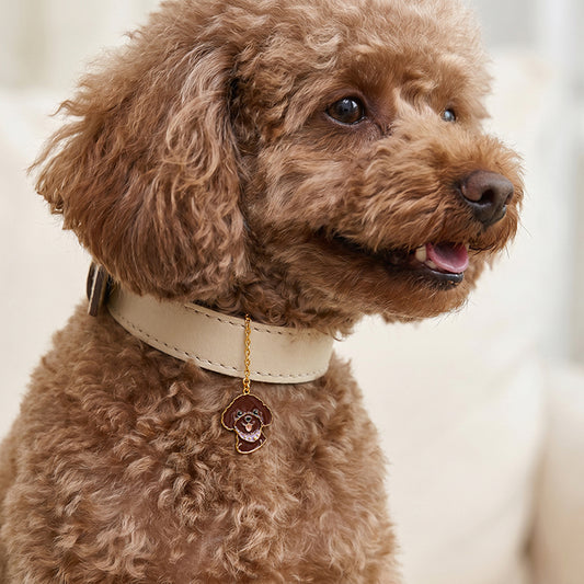 Golden Pawlove Convertible Charm