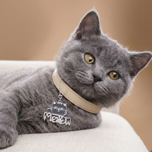 Silver Chatty Cat Pet Convertible Charm