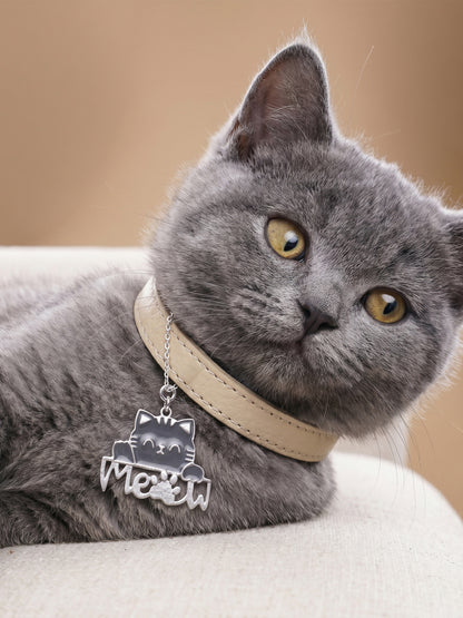 Silver Chatty Cat Pet Convertible Charm