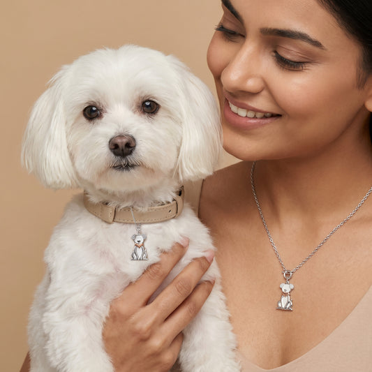 Silver Paw Buddy Charm & Pendant Set