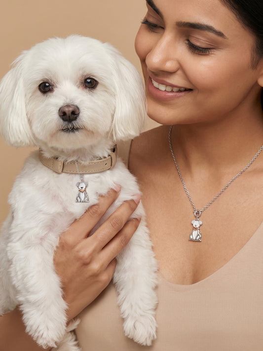 Silver Paw Buddy Charm & Pendant Set