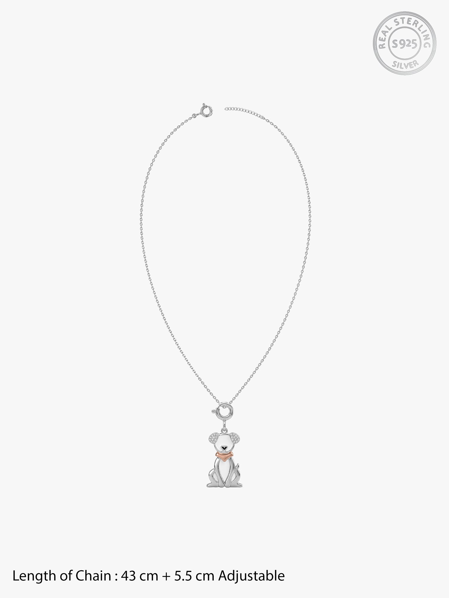 Silver Paw Buddy Charm & Pendant Set