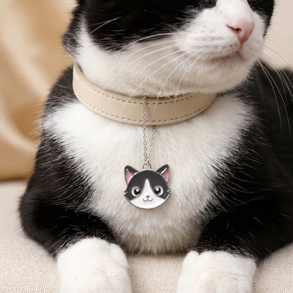 Silver Peek-a-Purr Pet Convertible Charm