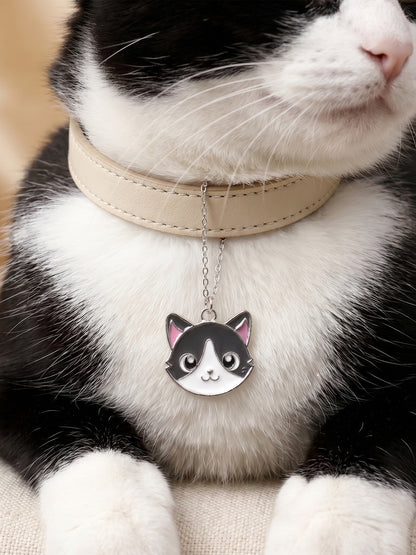 Silver Peek-a-Purr Pet Convertible Charm