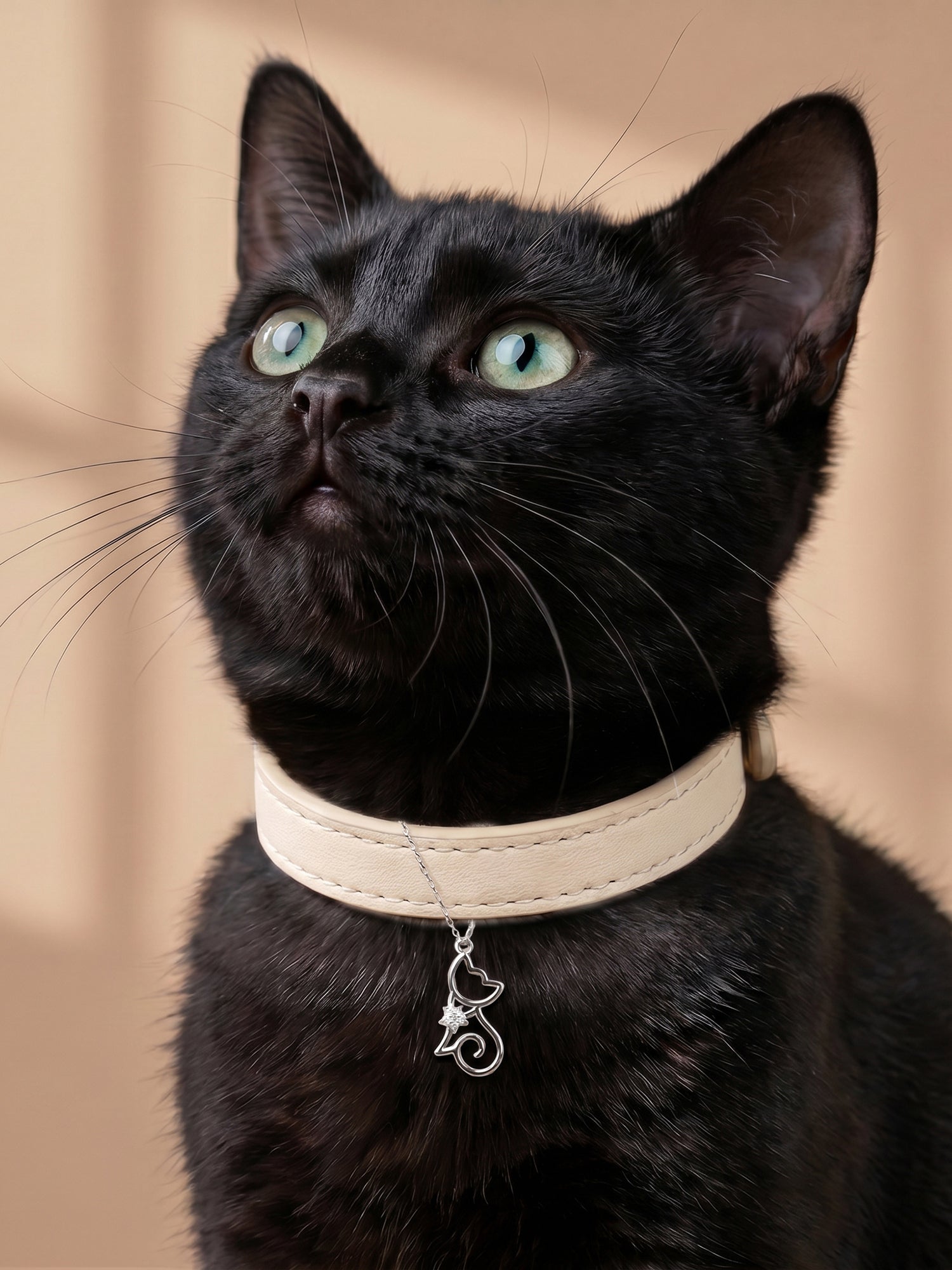 Silver Petals & Purrs Pet Convertible Charm