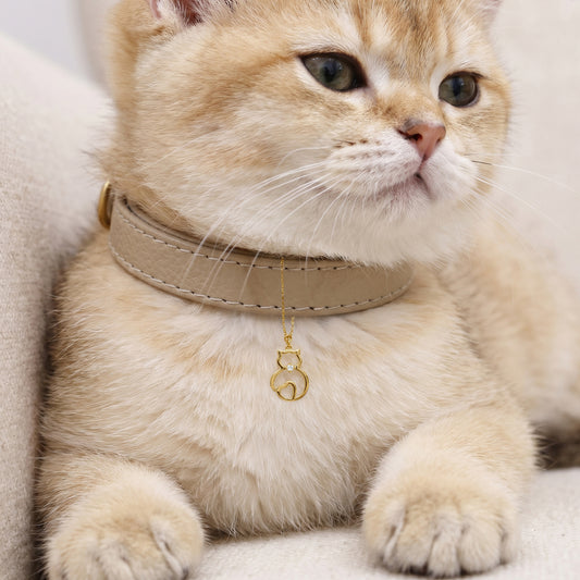 Golden Purrfect Heart Pet Convertible Charm