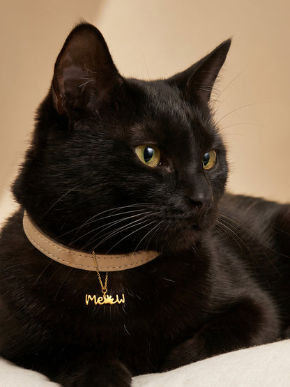 Golden Pawdorable Convertible Charm