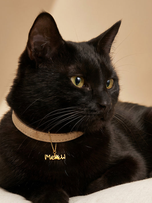 Golden Pawdorable Convertible Charm