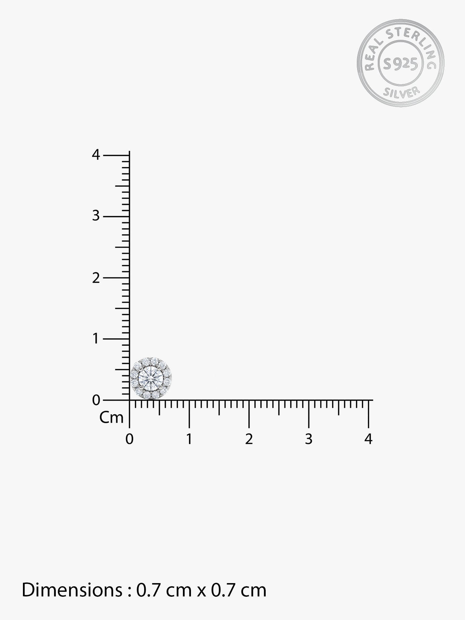Silver Zircon Studded Elegant Stud Earrings