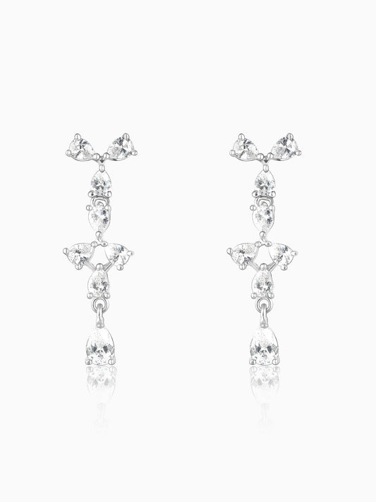 Silver Sparkling Beauty Earrings