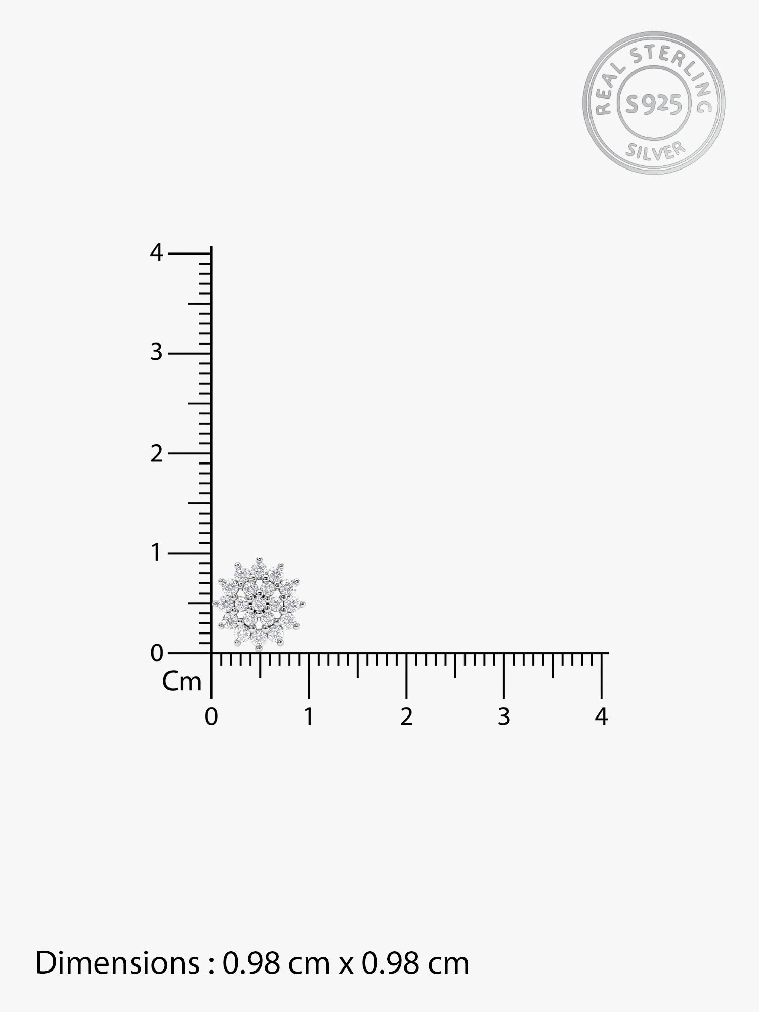 Silver Zircon Shining Star Studs