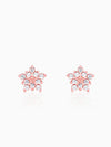 Rose Gold Shining Star Stud Earrings