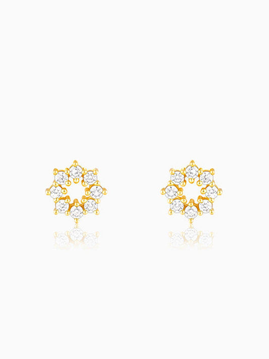 Golden Sparkling Earrings