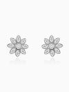 Silver Zircon Blooming Flower Earrings