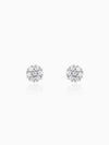 Silver Floral Elegant Earrings