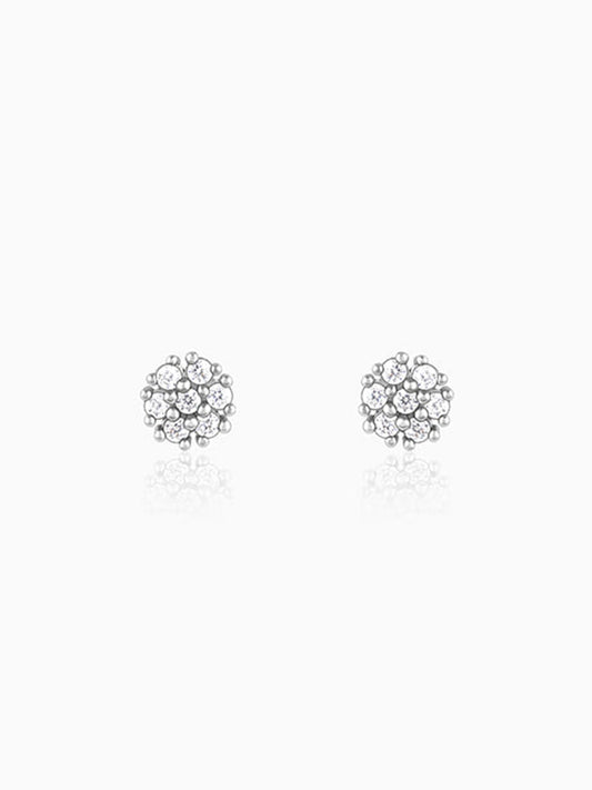 Silver Floral Elegant Earrings