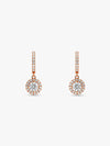 Rose Gold Zircon Drizzle Drop Earrings