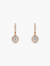 Rose Gold Zircon Drizzle Drop Earrings