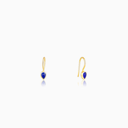 Golden Indigo Teardrop Earrings