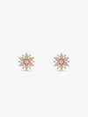 Rose Gold Fresh Flora Earrings