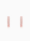 Rose Gold Slender Earrings