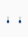 Silver Midnight Blue Butterfly Pendant With Link Chain