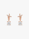Rose Gold Twigs of Twinkle Earrings