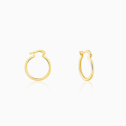 Golden Work Hoop Earrings