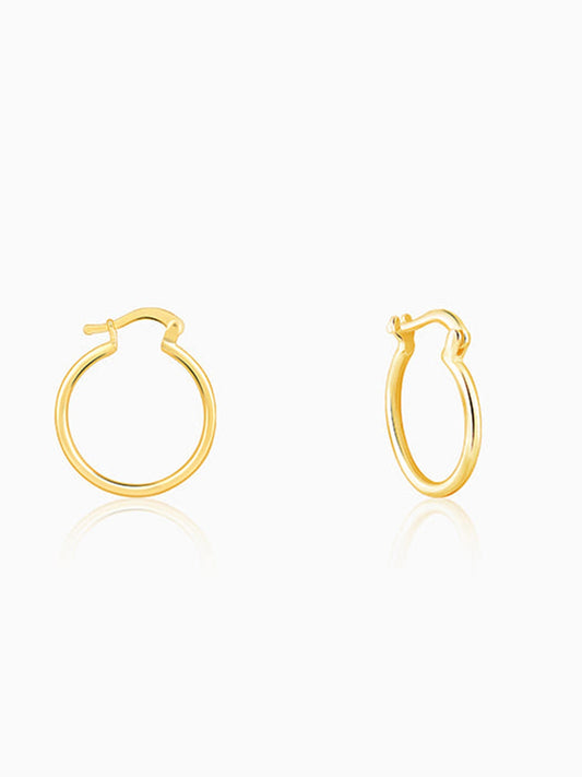 Golden Work Hoop Earrings