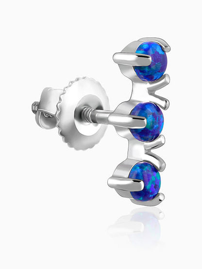 Silver Elegantly Attractive Earrings