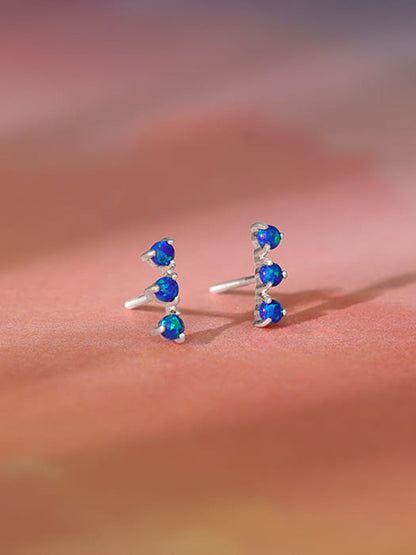 Silver Elegantly Attractive Earrings