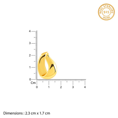 Golden Twisted Loop Earrings