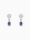 Silver Graceful Adornare Earrings
