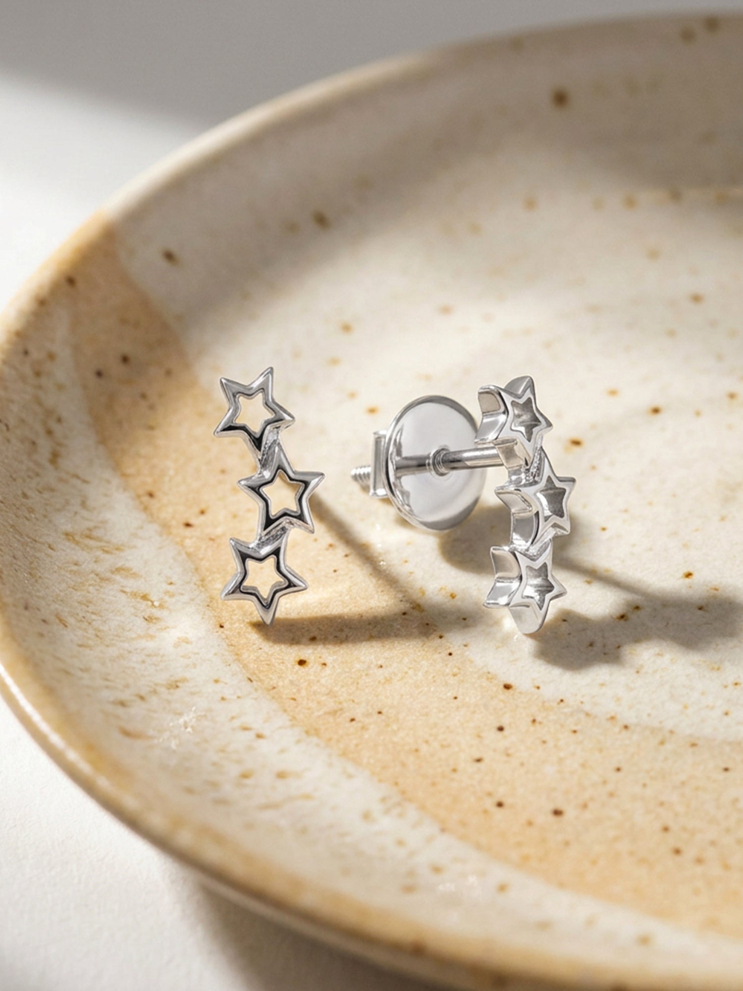 Silver Multi Twinkle Earrings