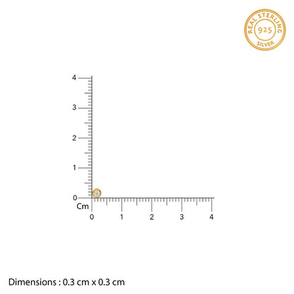 Golden Bezel Set Stud Earrings