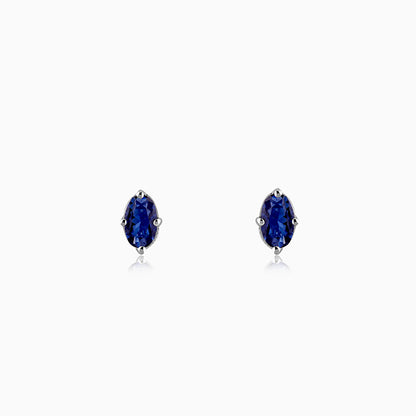 Silver Oval Shine Stud Earrings