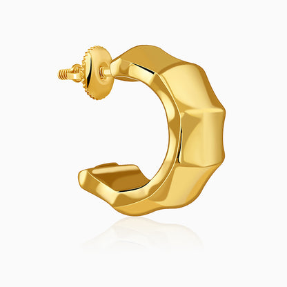 Golden Aurelian Half Hoop Earrings