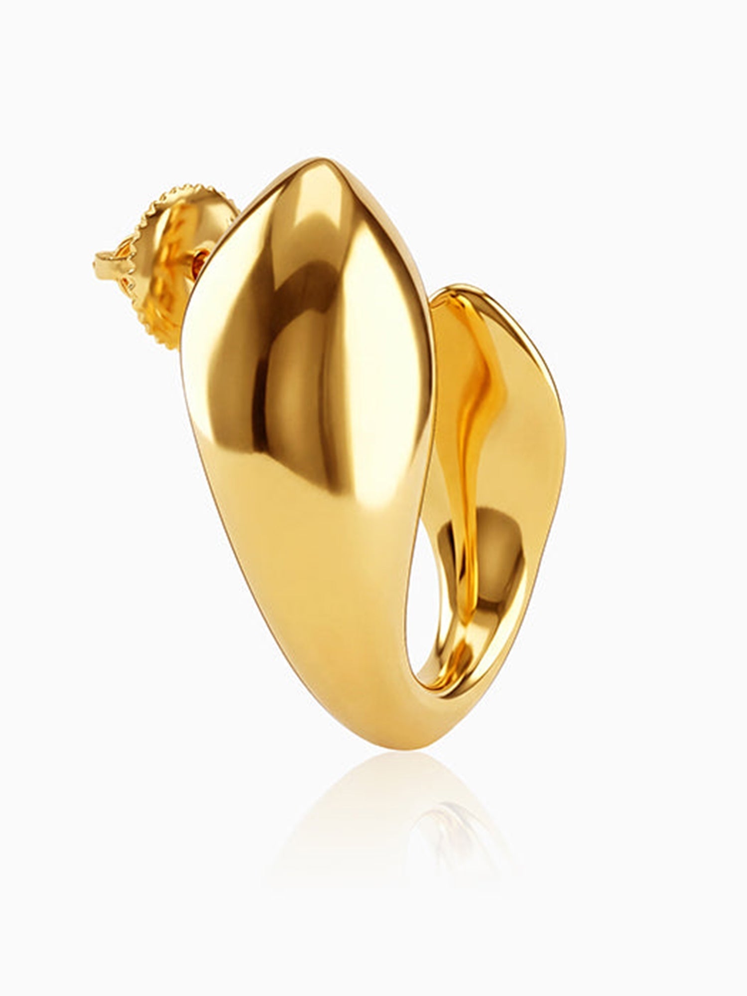 Golden Mod Dolphin Hoop Earrings