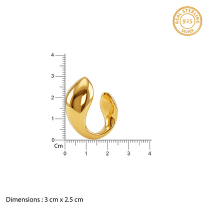 Golden Mod Dolphin Hoop Earrings