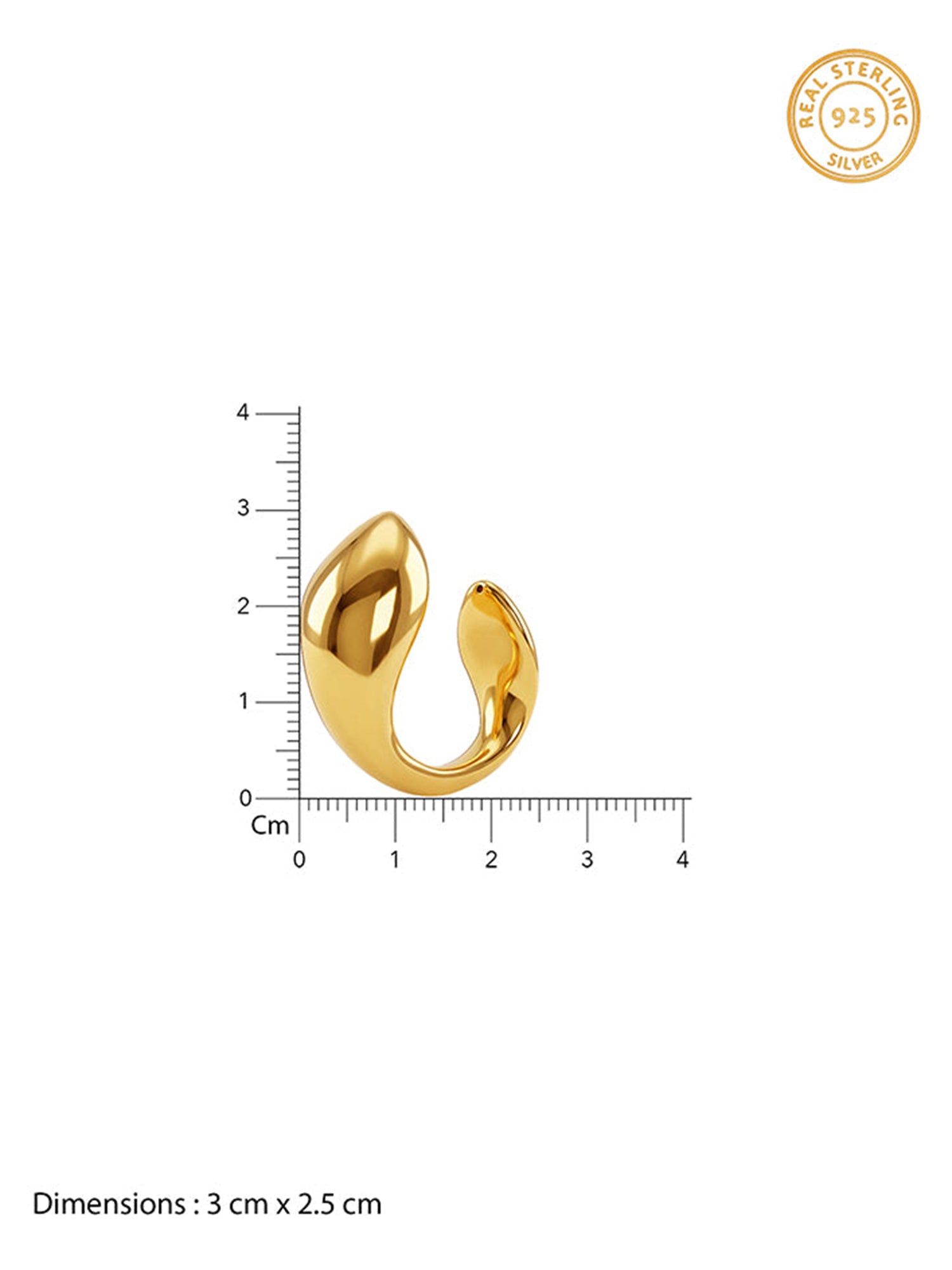 Golden Mod Dolphin Hoop Earrings