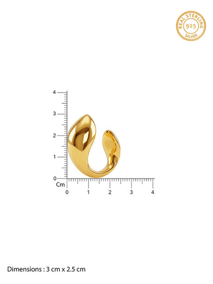 Golden Mod Dolphin Hoop Earrings