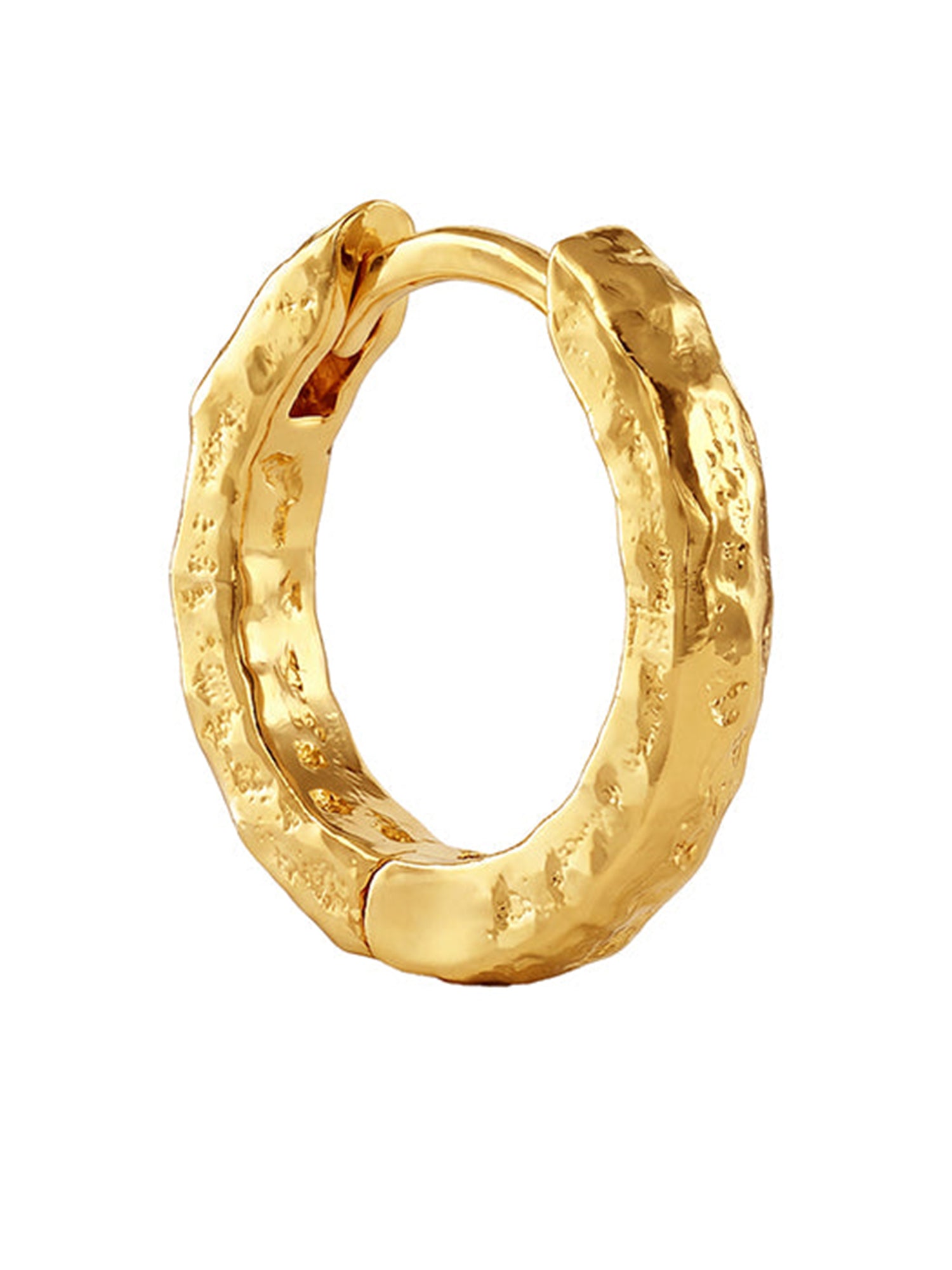 Golden Princess Hoop Earrings
