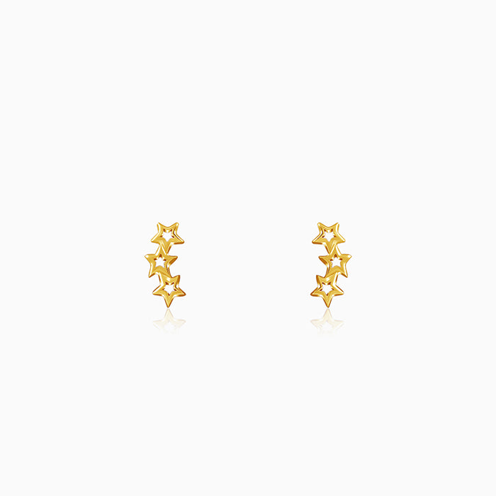 Golden Multi Twinkle Earrings