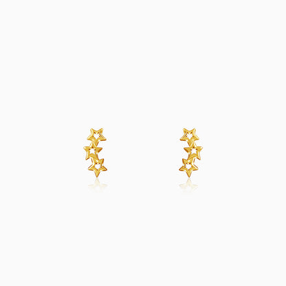 Golden Multi Twinkle Earrings